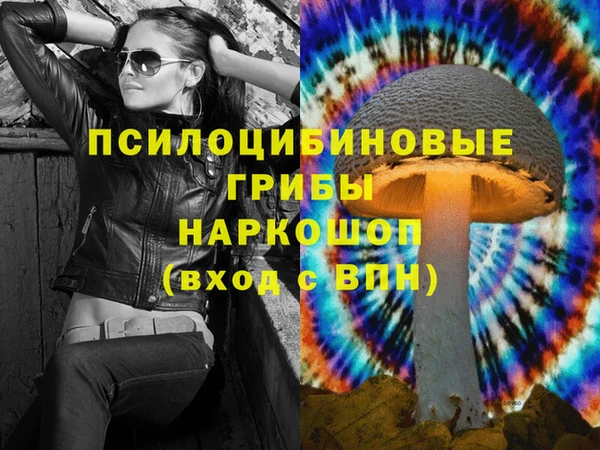 гидра Магас
