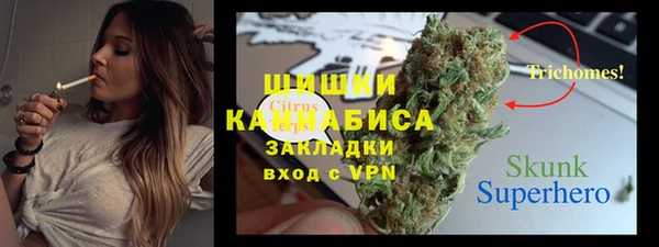 гидра Магас