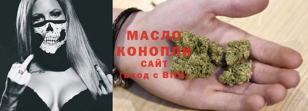 гидра Магас