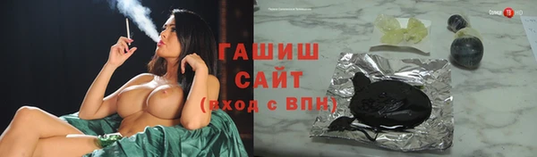 гидра Магас
