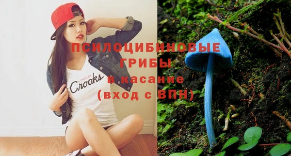 стафф Магадан