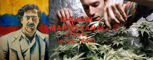 стафф Магадан