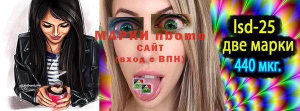 гидра Магас